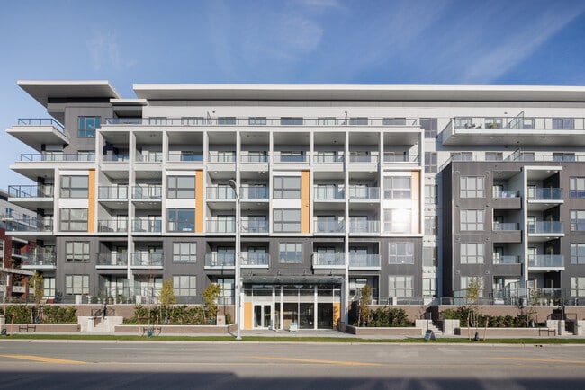 Building Photo - RIVA Residences