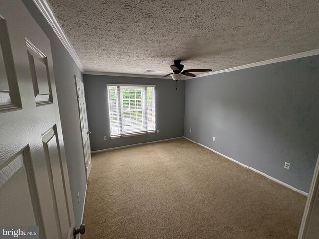 Building Photo - 10811 Topbranch Ln