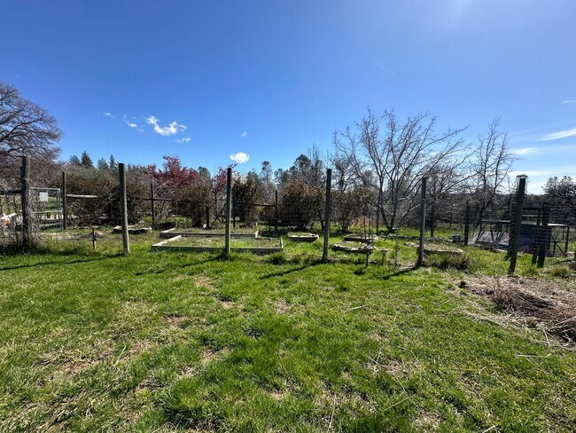 Foto del edificio - Gorgeous Multilevel 4 Bedroom 2.5 Bathroom Home on Acreage