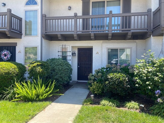 Building Photo - Wonderful 2BR Condo located in Las Playas ...
