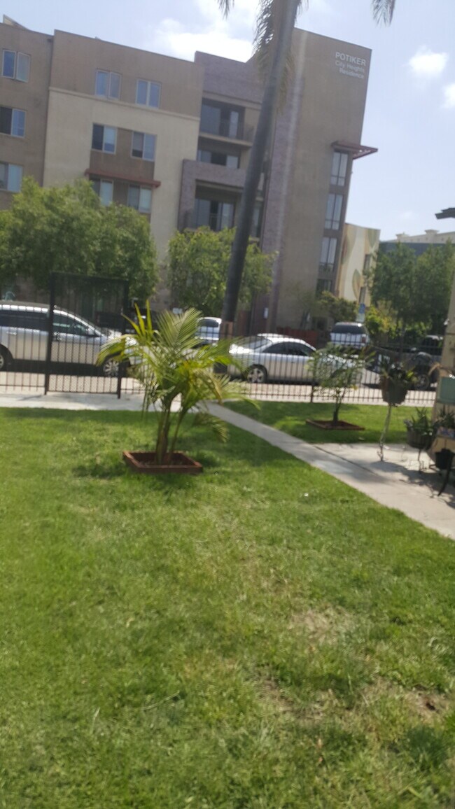 shared yard - 4078 43rd St