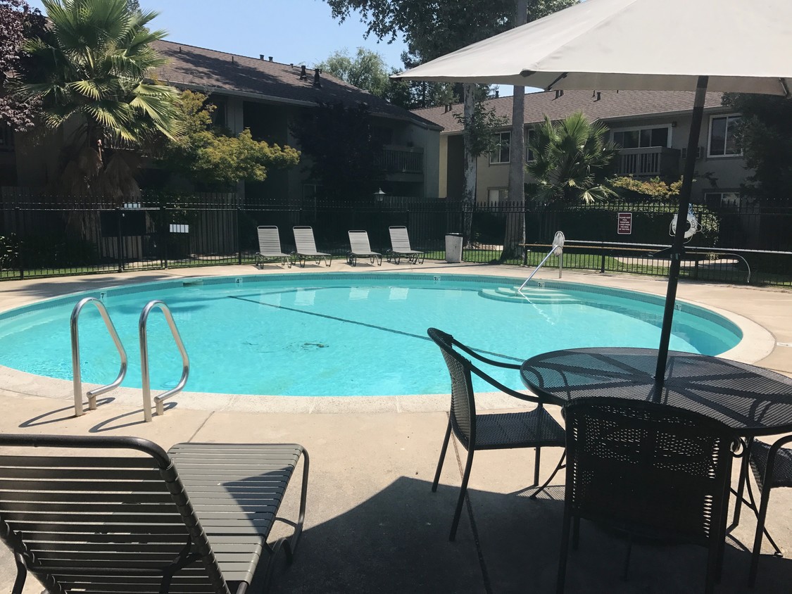 Pool - 1241 Homestead Ave