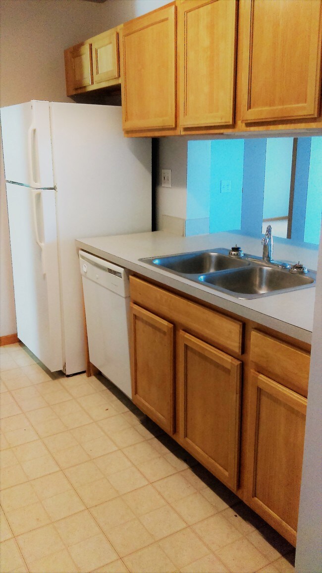 Meadows of Luke Ridge 1302 Luke Ln Rock Falls, IL Apartments for