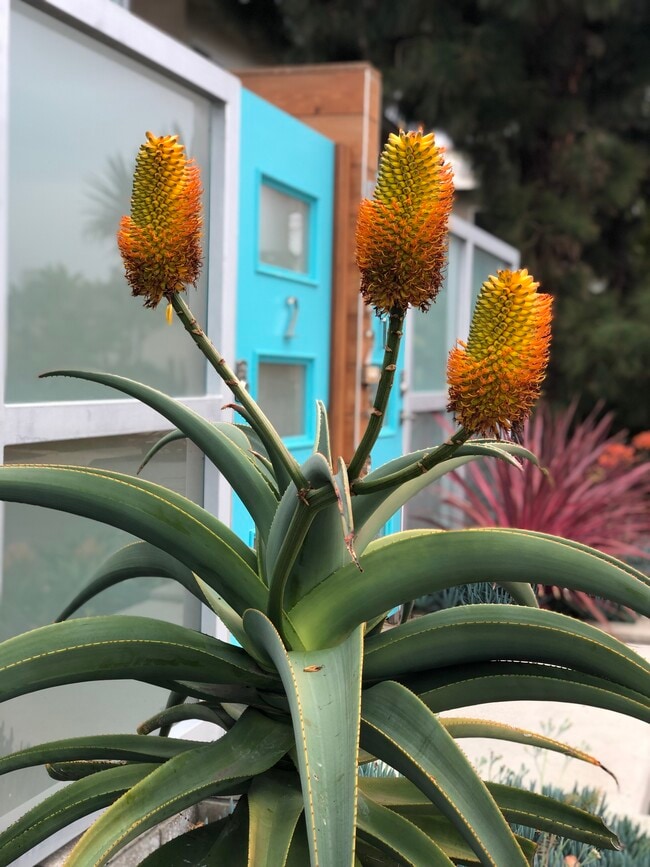 Foto del edificio - 2225 Manchester Avenue