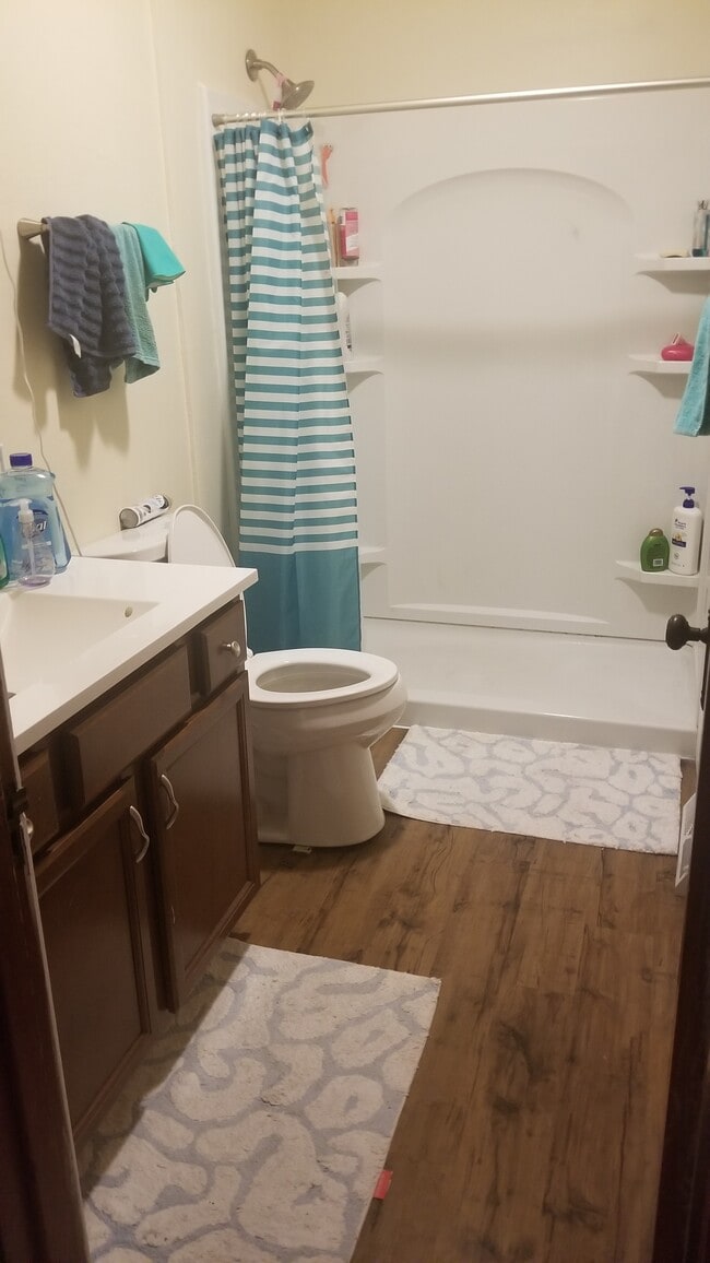 2nd Floor Bath - 211 S Mills St