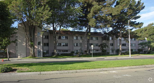 Foto del edificio - El Portal