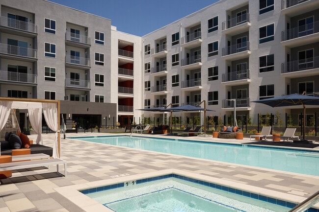 The Pool - The Q De Soto