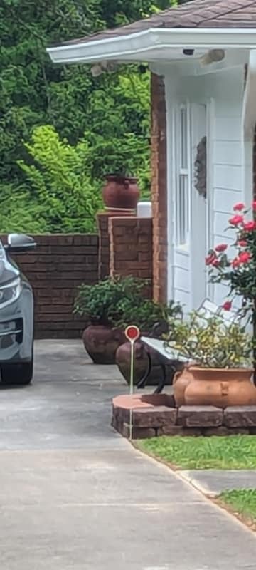 Building Photo - 950 Ellis Rd