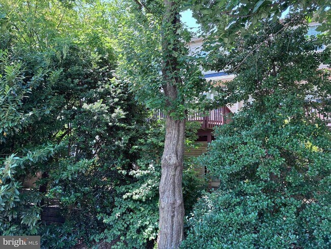 Foto del edificio - 214 Halpine Walk Ct