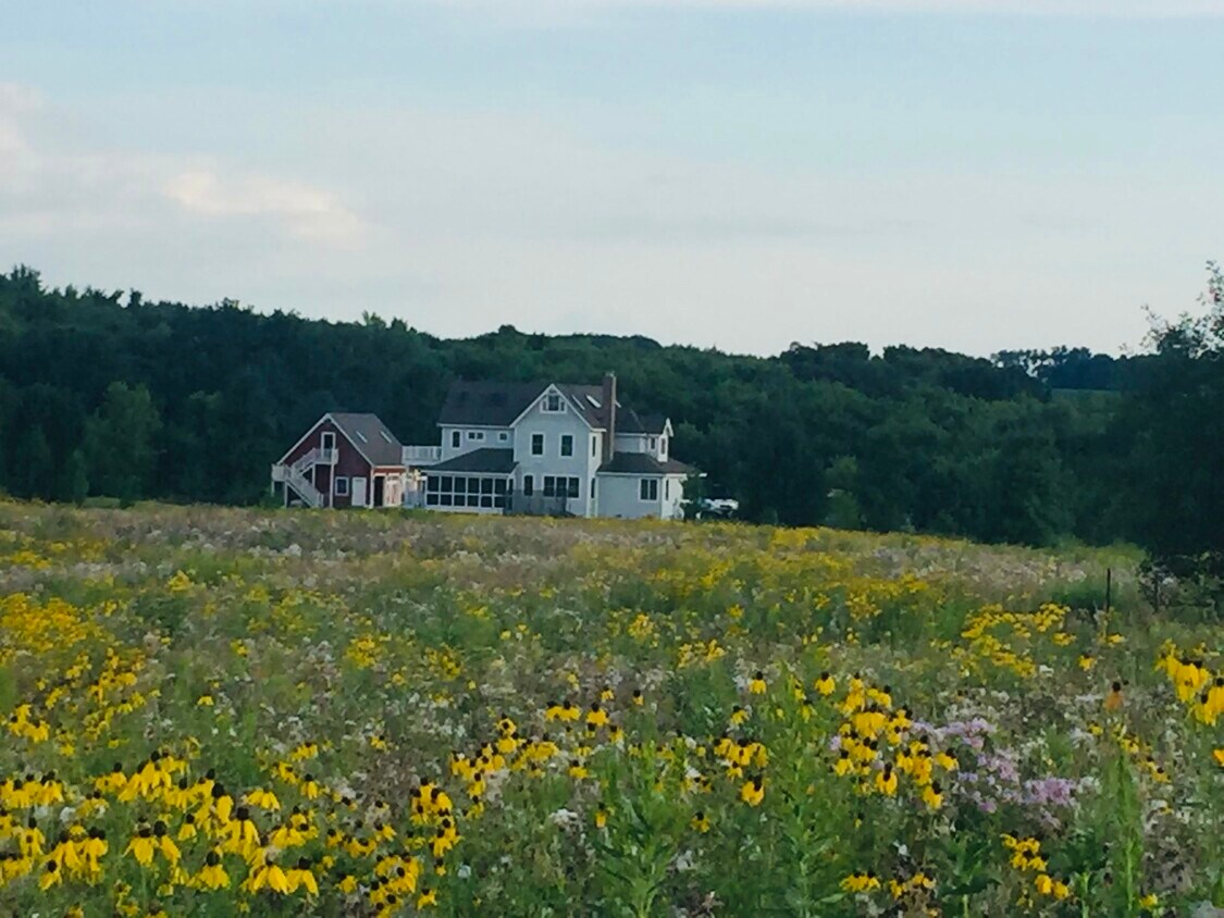 7425 40th St W, ster, MN 55088 House Rental in ster, MN