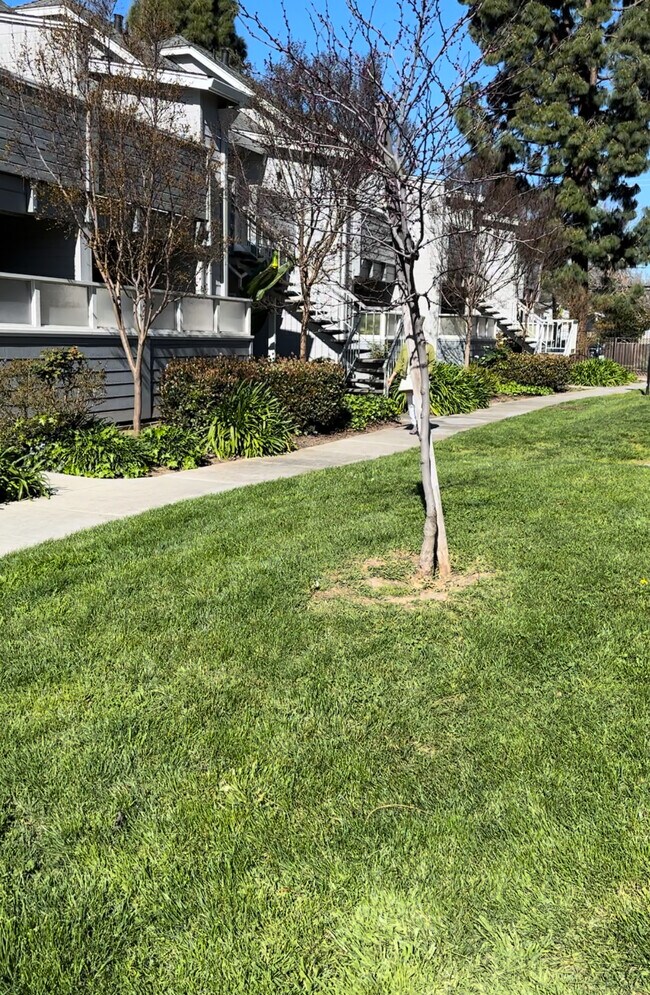 Photo - 363 Shadow Run Dr Apartment