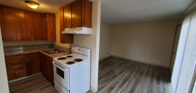 Kitchen & Family Room - Wolfpack Village Apartments