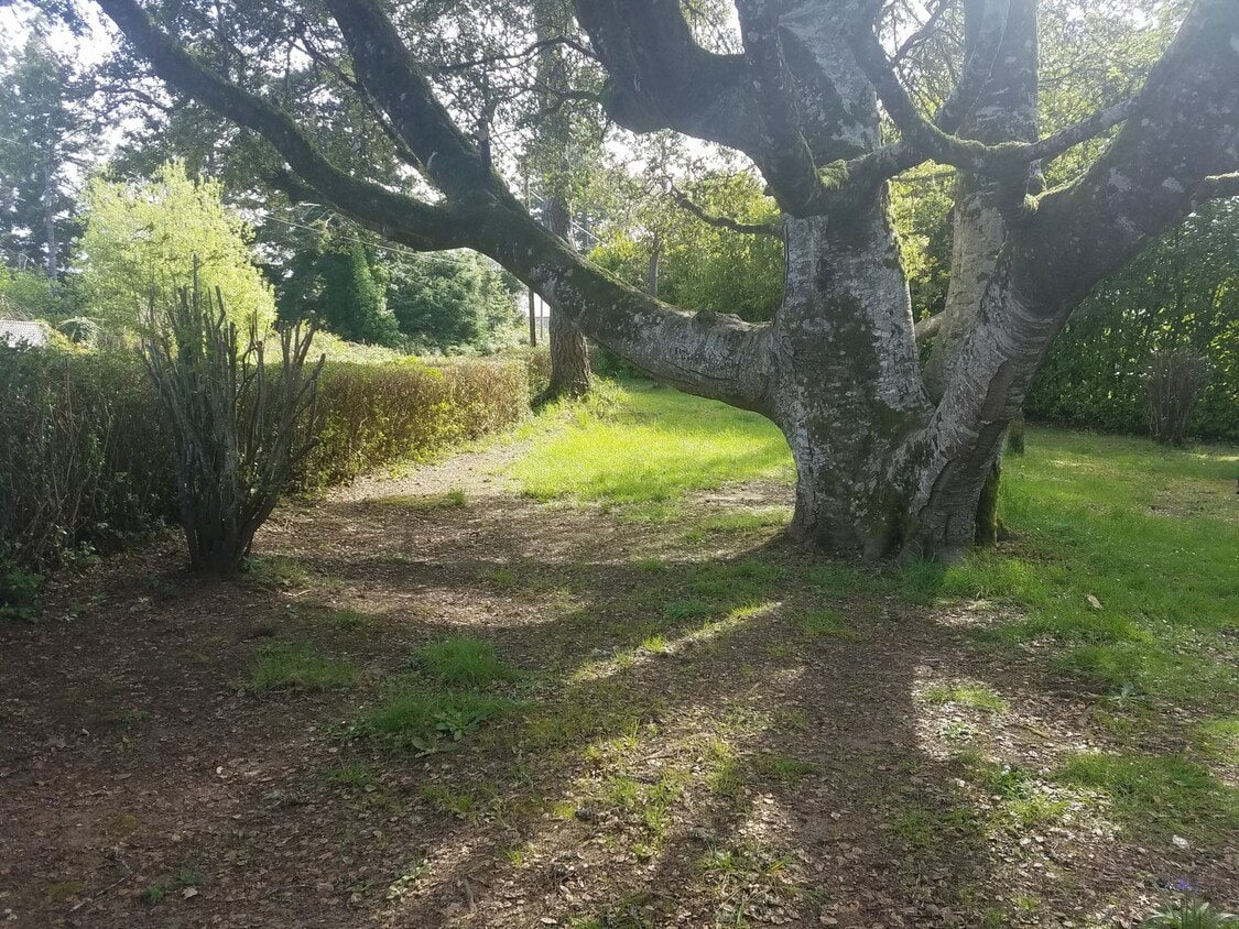 Primary Photo - Newly Updated! 3 Bed/2 Bath House on a Lar...