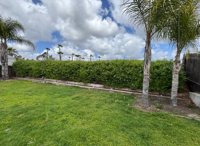 Foto del edificio - 8714 Rumson Dr