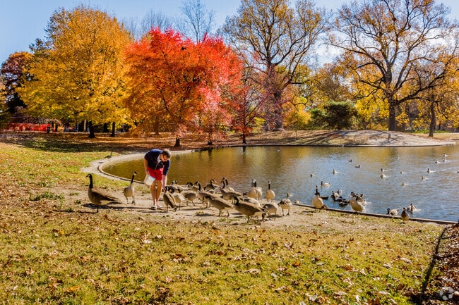 Stop and feed the geese on your walk along the waterside at Lafayette Park in Saint Louis.