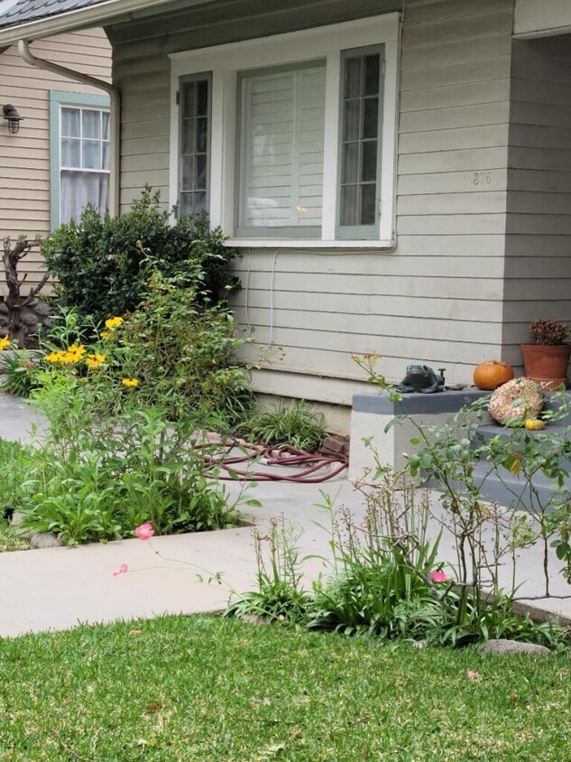 front yard - 376 S Oakland Ave