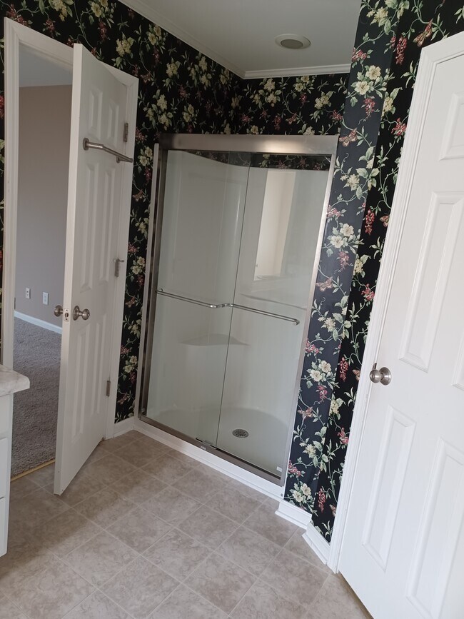 Master Bath Shower - 1953 S Hill Rd