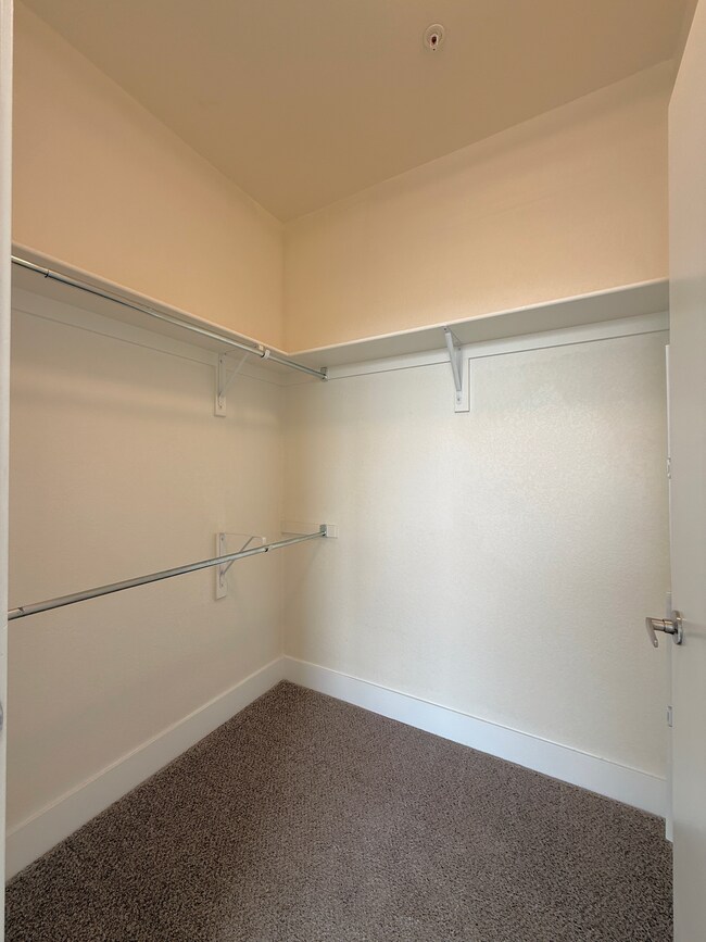 2nd-bedroom-walk-in-closet-high-line-pointe-2x2-1281-517-mount-evans-2-11-2026.JPG - High Line Pointe
