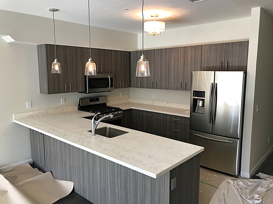 New Construction State of the Art Kitchen - 97 Baker St