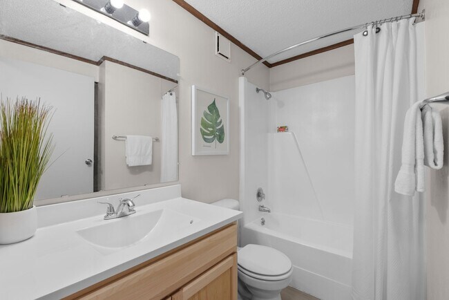 Foto del interior - Falls at Arlington