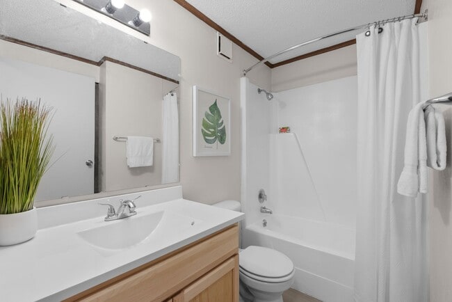 Interior Photo - The Falls at Arlington