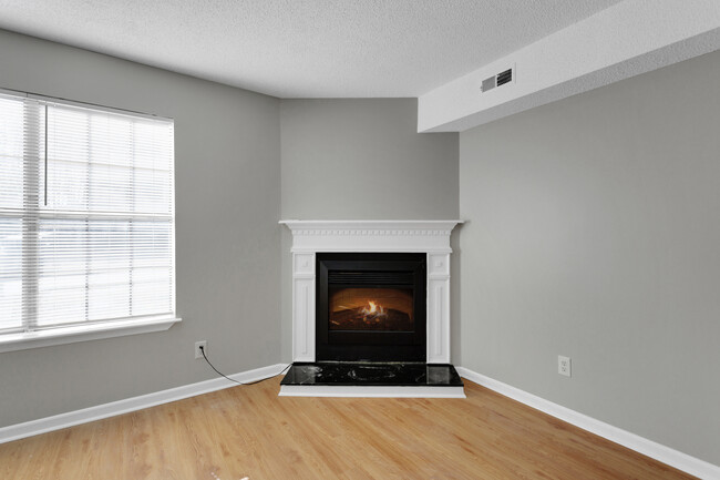 Electric Fireplace - 101 Montague Dr