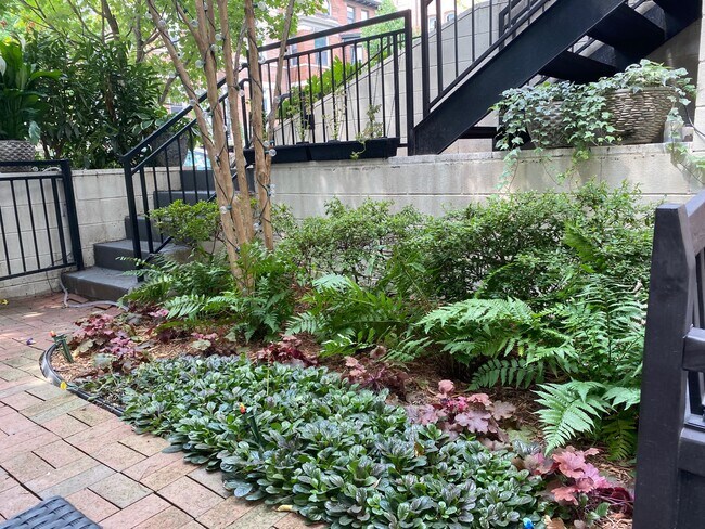 Front Terrace - 2431 Ontario Rd NW