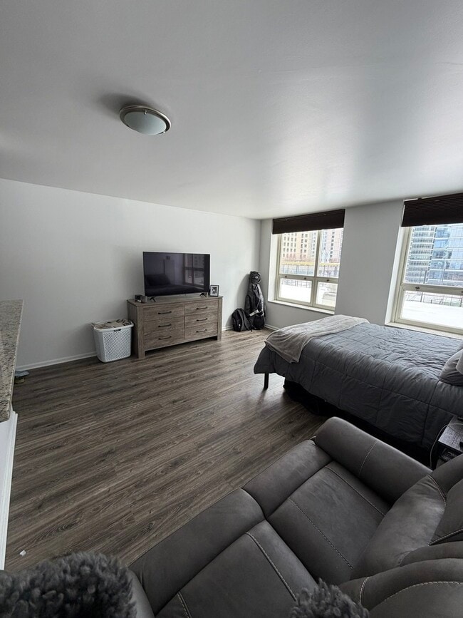 Building Photo - 345 N La Salle Dr