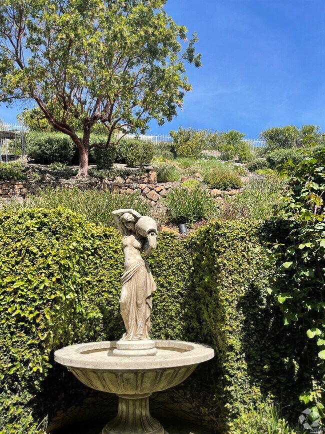 Apartments for rent in Blackhawk CA with Hardwood Floors 1 Rentals