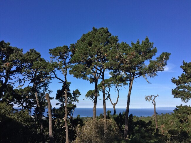 Daytime View - 250 Forest Ridge Rd