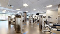 Located at 254 Phillip St in Waterloo, Ontario, this well-appointed fitness facility offers an expansive, single-floor exercise room designed to support a wide range of workout routines. The space features a drop ceiling with recessed panel lighting that keeps the environment consistently bright and inviting, complemented by large windows along multiple walls that flood the interior with natural light and offer views of the surrounding greenery.

The flooring transitions between durable speckled terrazzo and protective rubber matting in the free weights area, providing both functionality and safety. The facility is comprehensively equipped with a robust selection of strength training machines, including cable systems, chest press, leg extension, and lat pulldown stations. A dedicated free weights zone features a full rack of dumbbells, adjustable benches, and barbell bench press setups.

The cardio section houses a row of modern elliptical trainers and treadmills, each equipped with individual screens, alongside stationary bikes and additional cardio equipment. Wall-mounted televisions are positioned throughout the space for entertainment during workouts. Full-length mirrors enhance the sense of openness and allow for form monitoring. Seating benches near the entrance and a clearly marked accessible entry via double glass doors complete this thoughtfully designed, fully equipped fitness facility.