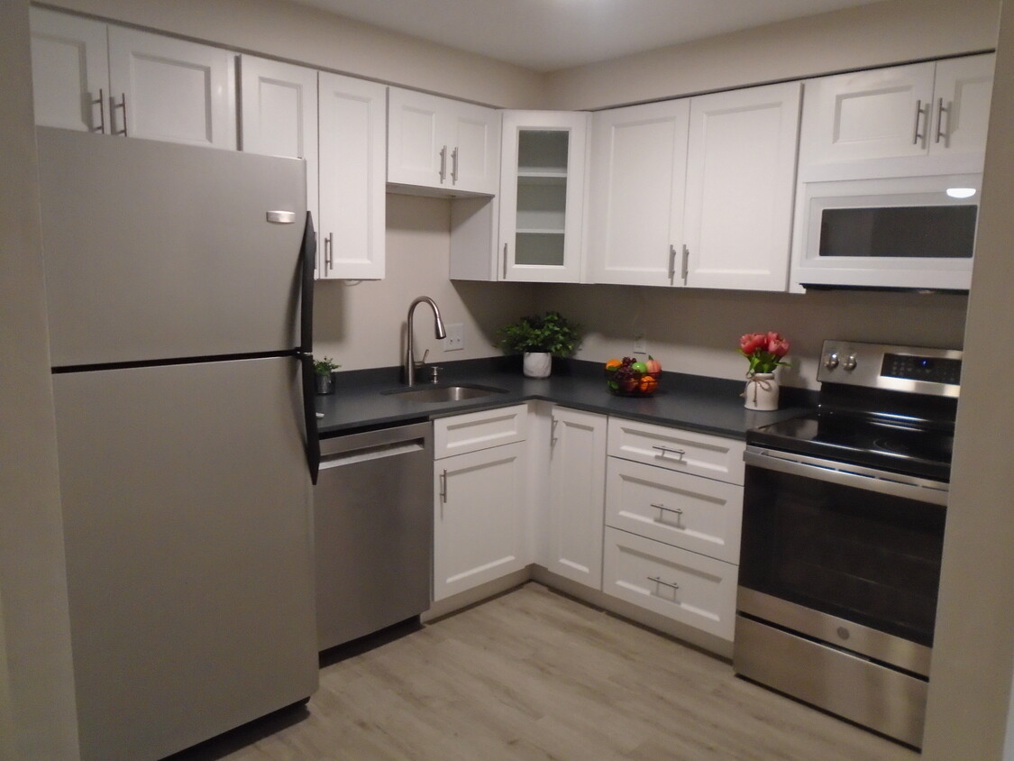 Updated Kitchen - 3400 Wooster Rd