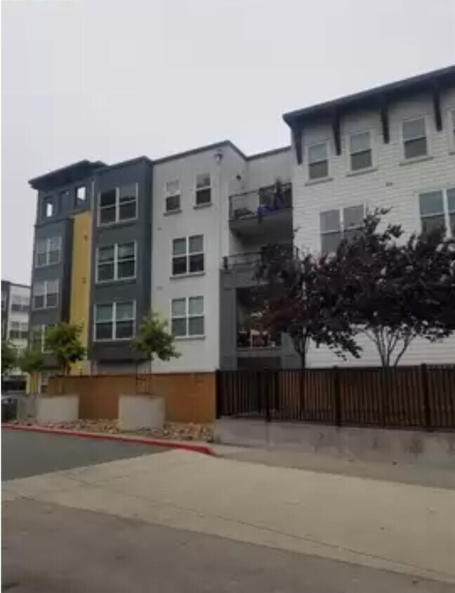 Exterior of building - 8100 Oceanview Ter
