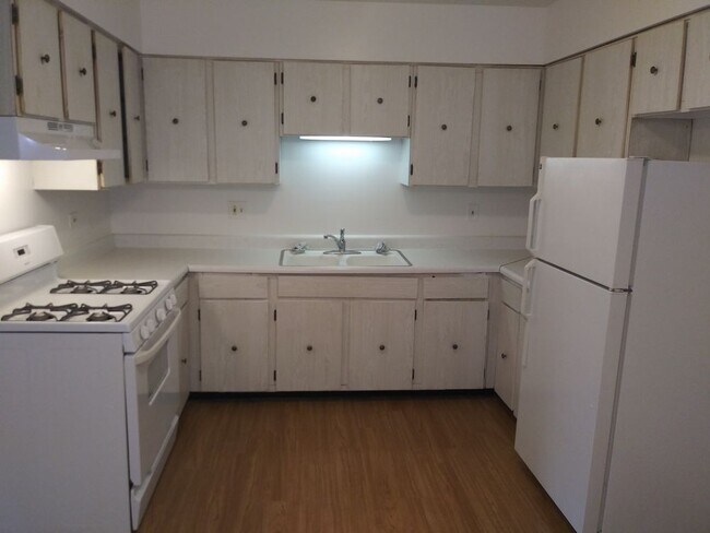 Building Photo - HUGE 1 Bedroom in Addison