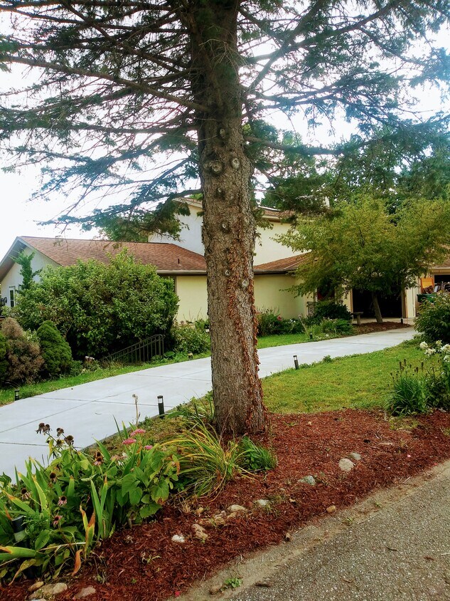 Sweeping, wide lawn with large U driveway - 445 Lakota Ln