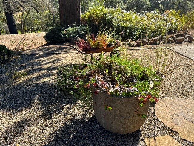 Foto del edificio - 926 Champion Ln