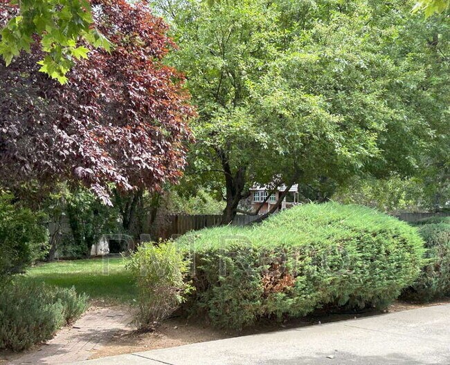 Foto del edificio - 1106 Happy Valley Ct