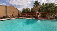 This outdoor amenity space centers around a generously sized swimming pool with clear turquoise water, framed by a classic brick-red coping that adds a warm, finished look to the pool's edge. The pool itself features a stepped entry and varying depths, accommodating a range of swimmers. A striking wood-beam pergola runs along one side of the pool deck, providing shaded seating and a defined gathering area beneath its open-slatted canopy. A tall palm tree anchors the pergola corner, contributing a distinctive tropical character to the space. Multiple lounge chairs are positioned poolside, offering ample spots to relax in the open sun. The surrounding deck is finished in a durable concrete surface, bordered by manicured hedges, mature shade trees, and ornamental plantings that create a lush, green backdrop. A secure wrought-iron fence encloses the pool area, with a gated walkway providing access to the surrounding grounds and greenspace beyond. Adjacent multi-story brick buildings frame the courtyard, reinforcing the sense of a private, enclosed retreat. Additional seating, including umbrella-shaded picnic tables, is visible along the perimeter, making this space well-suited for both relaxation and casual outdoor gatherings.