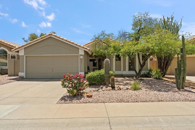 Building Photo - 9343 E Windrose Dr
