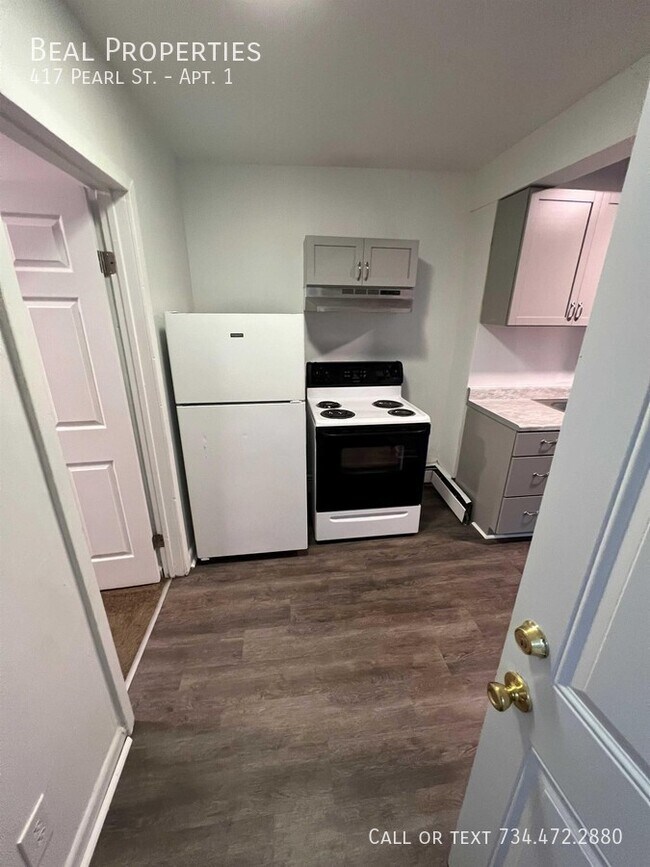 417 Pearl St Unit Apt. 1, Ypsilanti, MI 48197 Room for Rent in