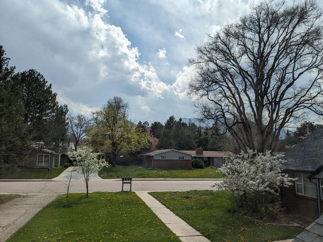 Building Photo - 4365 Comanche Dr