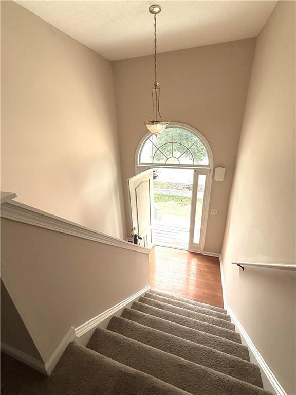 Building Photo - 3683 White Pine Rd