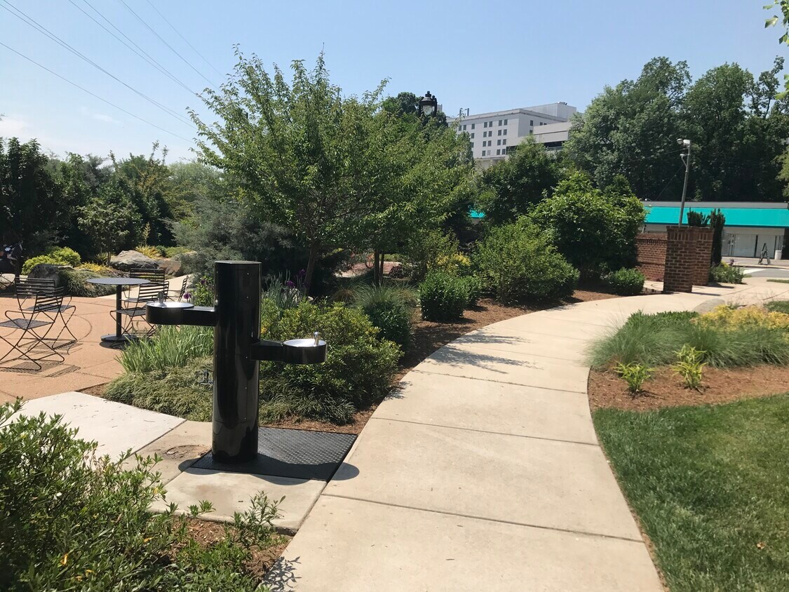 Greenway is 1 building over! - 1337 E. Morehead Street