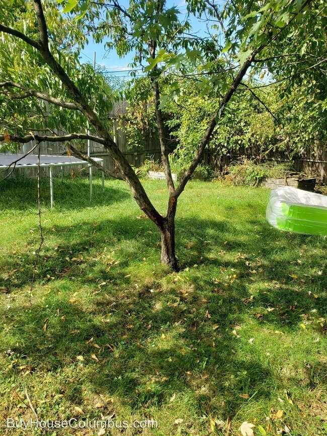 Foto del edificio - 4 br, 1.5 bath House - 1732 Hopkins Ave