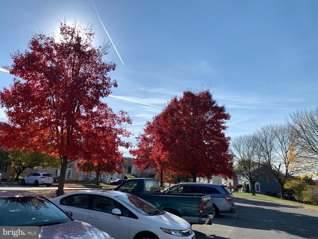 Foto del edificio - 428 Palmer Terrace