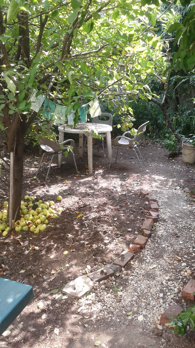 Foto del edificio - 736 E 133rd St