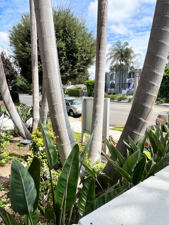 Foto del edificio - Chateau Studio Village Apartments