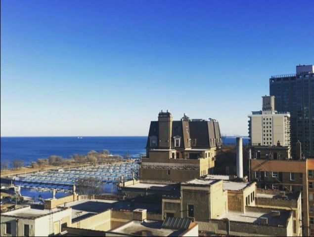Building Photo - 3550 N Lake Shore Dr