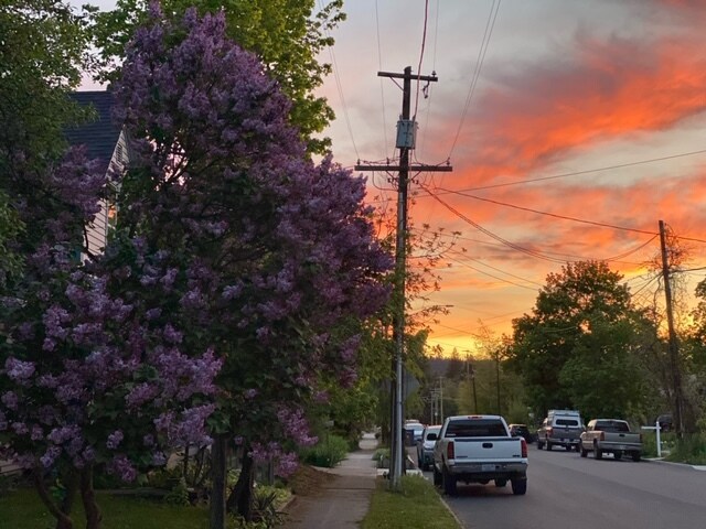 Foto del edificio - 1603 W Clarke Ave