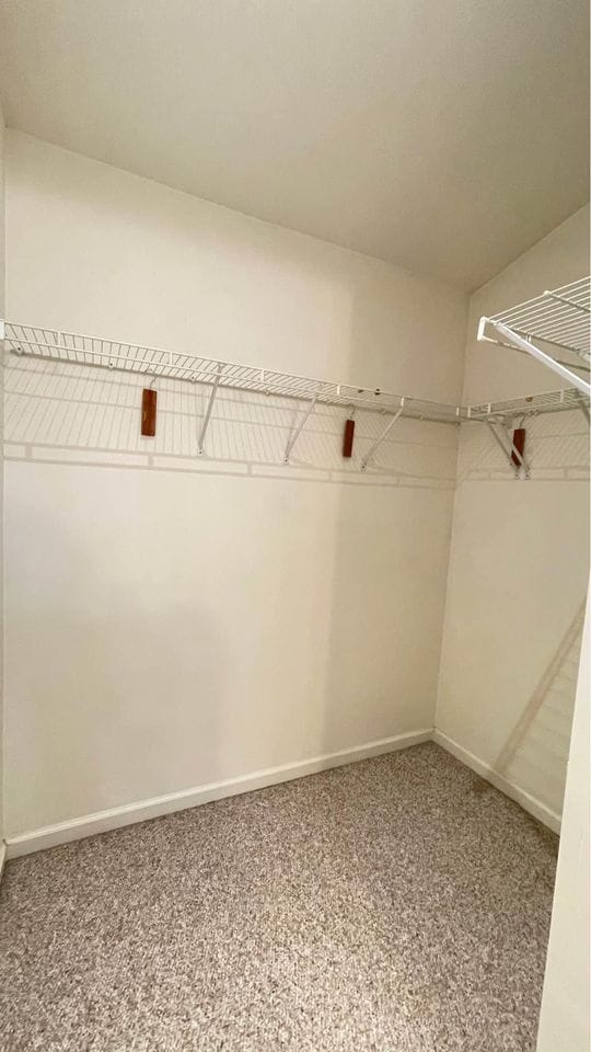 Building Photo - 6399 Stagg Ct